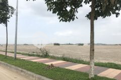 Bán đất lô 6 dt 5000m2 trong ccn nội hoàng bắc giang