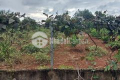 Bán đất thôn 4 xã eakao gần hồ giá 85 triệu 1m