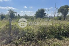 D936 bán đất ea tieu cư kuin cách đường hồ chí minh 300m