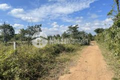 D936 bán đất giá đầu tư eatieu giá chỉ 430tr