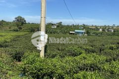 Bán lô đất tại tân lạc, bảo lâm