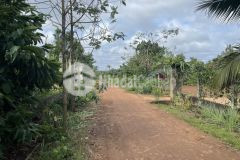 D940 bán đất ea tiêu cư kuin hẽm cấp 1 cách đường hồ chí minh 300m