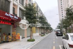 Bán liền kề iec, diện tích 60m2, mặt tiền đường trần thủ độ