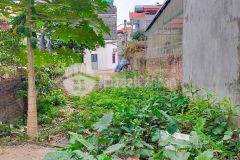 Siêu rẻ siêu đẹp phúc lợi long biên 40m2 đất mt5m ngõ thông ba gác 10m ra ô tô đầu tư đỉnh chỉ 1.75 tỷ