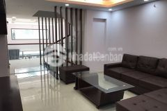 Cho thuê nhà nc có nội thất cực đẹp tại hẻm 261 lê đức thọ p17 q gvấp