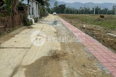 Giá trong tuần lô đôi kế bên lô góc, đại quang, đại lộc giá chỉ 492tr lô