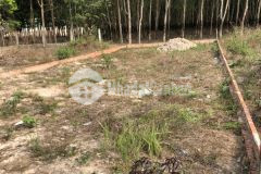 Bán đất xã thành tâm, chơn thành, bình phước, 288.6m2, shr, 1.55 tỷ. lh0988854978