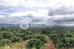 Hơn 1000m2 mặt tiền đường bê tông phi tô lâm hà lâm đồng