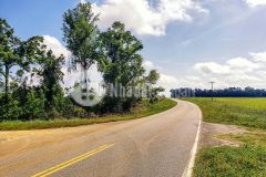 Bán đất nền chính chủ sẵn thổ cư bảo lâm