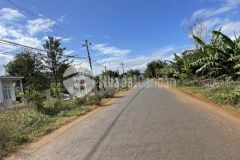 D947 bán 2 lô liền kề mặt tiền buôn bu hòa khánh.