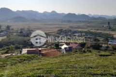 Đón sóng cao tốc hòa bình mộc châu. bán đất tại chiềng đi, tt nông trường mộc châu