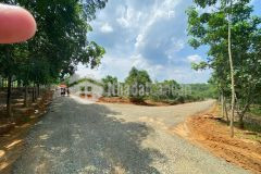 Hơn 1,1 hecta đất vuờn xã tân phước,huyện đồng phú tỉnh bình phước chỉ có 670 triệu