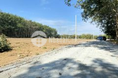 Chính chủ cần bán gấp đất becamex đồng phú, dt 250m2, tc 100m, shr, đường 12m, giá 580 triệu