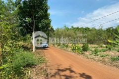 Đất vườn sẵn cây ăn trái ngay cụm kcn tân hưng bình phước