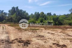 Đất sào khu dân cư đồng phú bình phước 1000m2