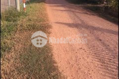 Đất ngay khu du lịch hồ dầu tiếng 290trnền