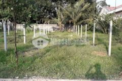 Đất ở củ chi 141m2 full thổ, thanh toán 700tr nhận đất, sổ hồng riêng.