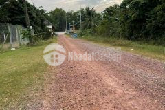 Cần bán gấp lô đất vườn 1000m2 củ chi giáp hóc môn giá 1 tỷ 7