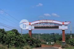 Bán đất lâm đồng 300 triệu view đẹp giá tốt