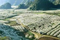 Bán đất mặt đường ql6 đón sóng cao tốc hoà bình mộc châu