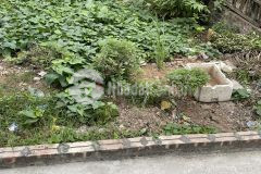 Đất hình thửa đẹp,ô tô đỗ cửa,20m ra phố hoa lâm 48m2 giá 2.9 tỷ