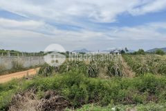 Bán 26.5x88m đất ở sát biển 21.2 tỷ đường hùng vương, xã tân tiến, thị xã lagi, bình thuận