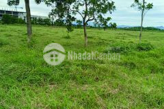 Chuyển nhượng đất tại thị xã mỹ hào hưng yên giá tốt