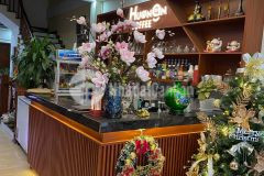 Bán biệt thự phân lô đường lâm hạ, long biên, 2 mặt ngõ, thang máy. giá 18,95 tỷ