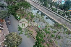 Tòa nhà mặt phố cầu giấy, phố nguyễn khang. vỉa hè, ô tô, kd, thang máy. 150m2 mt7m 8t 50tỷ