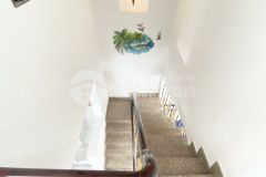 Nhà phố siêu đẹp diện tích lớn đường bùi quang là p12 gò vấp