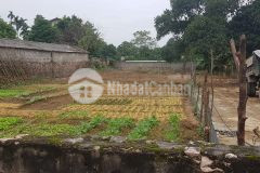 Cần bán hơn 2100m2 đất nam phương tiến,chương mỹ,hn.đường thông.cách ngã 4 xuân mai 3km.giá 5,x tỷ