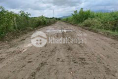 Bán đất làm vườn thôn 1 diên đồng gần sông chò