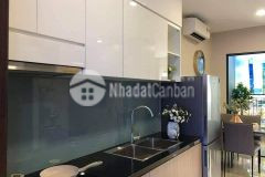 Hxh hoàng hoa thám phú nhuận 20m ra mt 4lầu 6.9tỷ tl