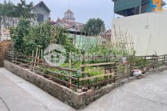 Lô góc 50m2 950 triệu thụy hà bắc hồng đông anh. lh 0388 811 362