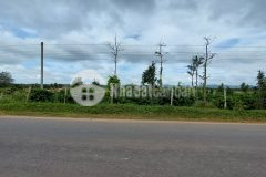 D962 bán đất mặt tiền nguyễn thị định quỳnh tân krong ana