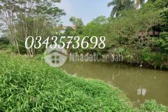 Cần tiền bán gấp lô tđc cầu đồng lọc, 2mt, gần đh quốc gia hòa lạc, oto tránh