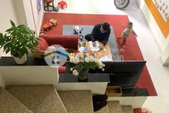 Bán nhà định công hạ dân xây chắc chắn nhà đẹp ở luôn 48m 4 tầng giá 3,8 tỷ