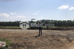 Đất nền chính chủ sẵn thổ cư bảo lâm