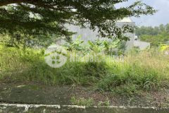 Chu tôi cân tiên chưa bênh nên ban gâp lô goc tai bâu bang,binh dương.