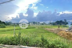 Siêu phẩm làm farm đón sóng cao tốc hòa bình mộc châu