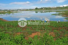 Đất view sông đa nhim yên tĩnh không quá xa trung tâm tại đức trọng lâm đồng