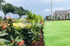 Đất nhà phố tại khu đô thị trung tâm bình phước giá từ 4trm2