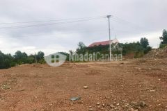 Cần bán đất trồng cây lâu năm cầu bà