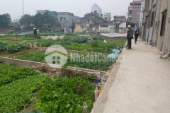 Cần tiền bán đất đầu tư kiêu kỵ, gia lâm 45 m2 giá 1,4 tỷ vnđ.