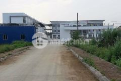 Đường 427, đấu giá mảnh tre bình minh,75m2 vỉ hè và đường 10m