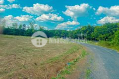 Bán 10 nền mặt tiền đường nhựa kcn lộc thịnh, huyện lộc ninh