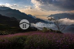 Vị trí kết nối du lịch sapa y tý, view đẹp, gần đường lớn