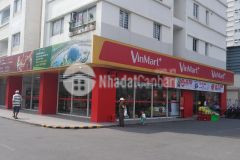 Bán căn hộ 1 phòng ngủ, chung cư lotus garden, tân phú