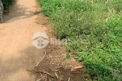 D970 bán lô đất buôn tiêu gần hồ ea tiêu cưkuin