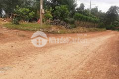 Thu đi để lại lá vàng, ai lên đồng tiến nhặc vàng chơi xuân